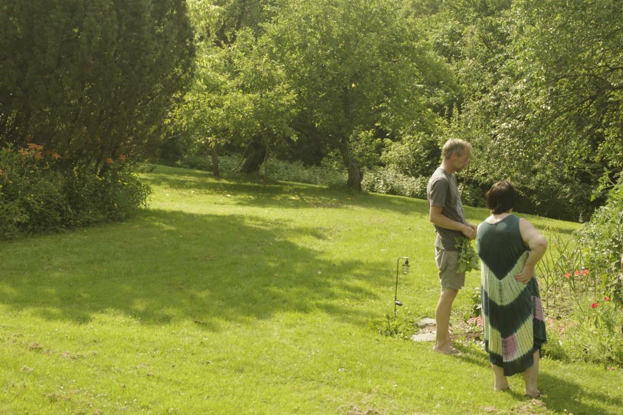 Gite Au Pied Des Appalaches Sainte-Sophie-D'Halifax Zewnętrze zdjęcie