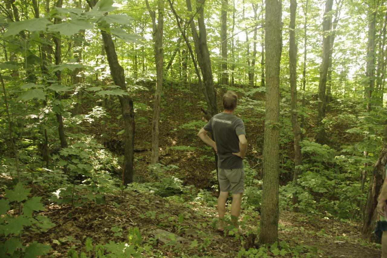 Gite Au Pied Des Appalaches Sainte-Sophie-D'Halifax Zewnętrze zdjęcie